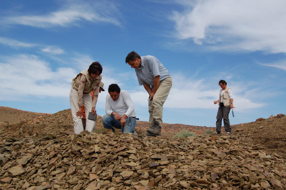 Researchers scour the Fezouata fossil site in Morocco. (Cambridge University/ PA)