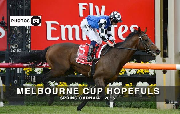 Melbourne Cup Hopefuls