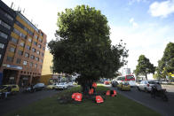 Venezuelan couriers wait under a tree for messages from the Rappi application to make deliveries in Bogota, Colombia, Wednesday, July 17, 2019. Rappi cyclists lack benefits that are mandatory for minimum-wage employees, such as health insurance or sick leave, pay for the maintenance of their bikes, and purchase from Rappi an orange backpack that is required to work on the platform. (AP Photo/Fernando Vergara)