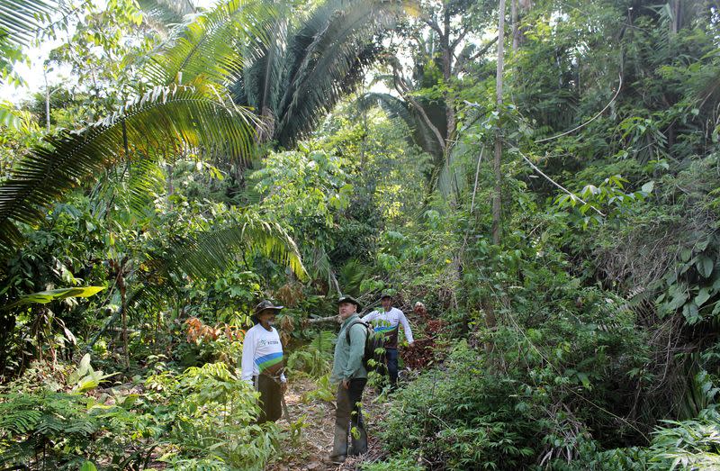 Brazilian researchers inspect a parcel of Amazon rainforest in Itapua do Oeste