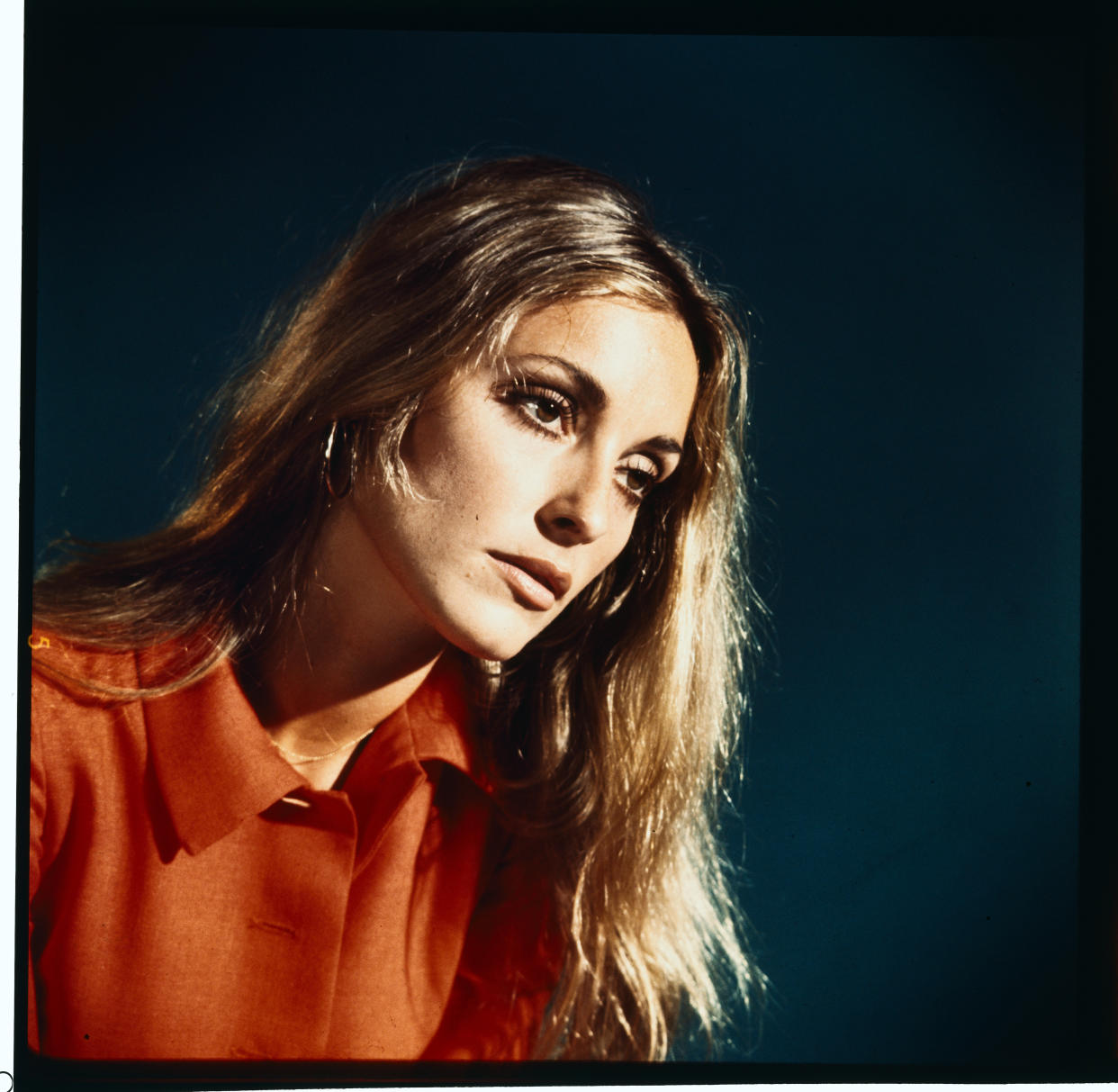 Actress Sharon Tate. (Getty Editorial Images)