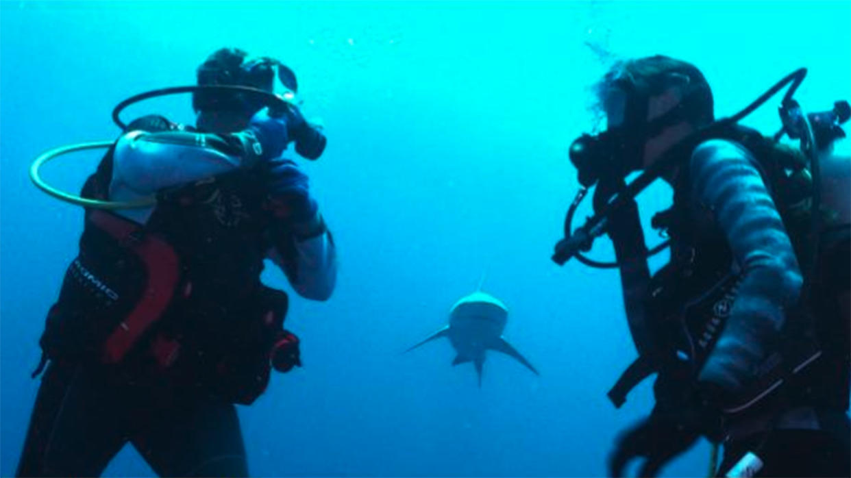 Kerry Sanders (left) does an underwater interview with a scientist as a bull shark approaches. (Bill Mills / NBC News)