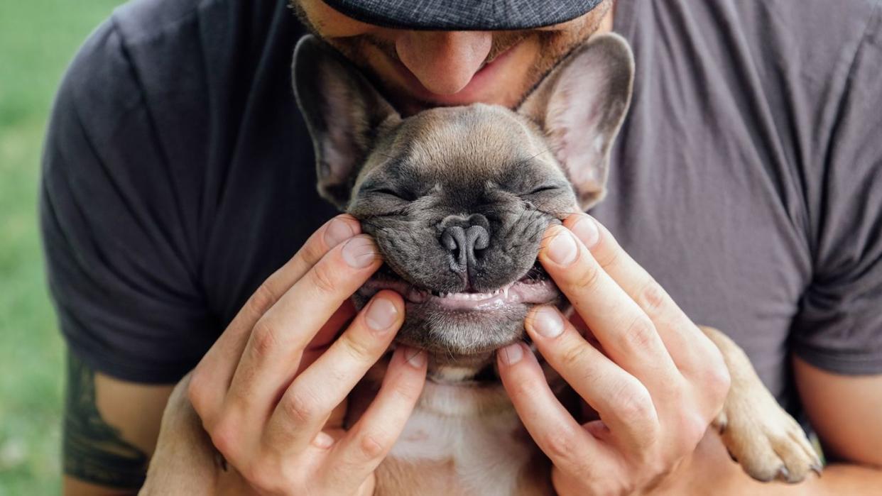 man scrunching up the face of his small dog so it looks like the dog is smiling