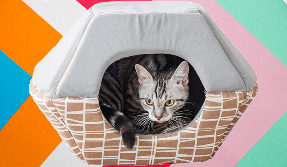 Pounce on this cat bed—it's 50 percent off. (Photo: Amazon)