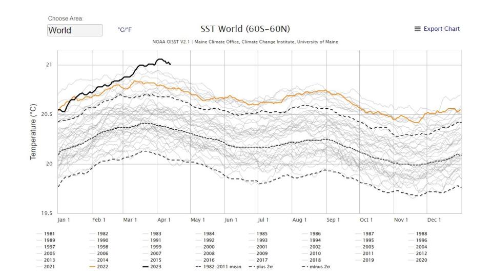 A chart of sea surfact temperatures shows how the temperatures fluctuate over time. The line for 2023 can be seen climbing high above the rest