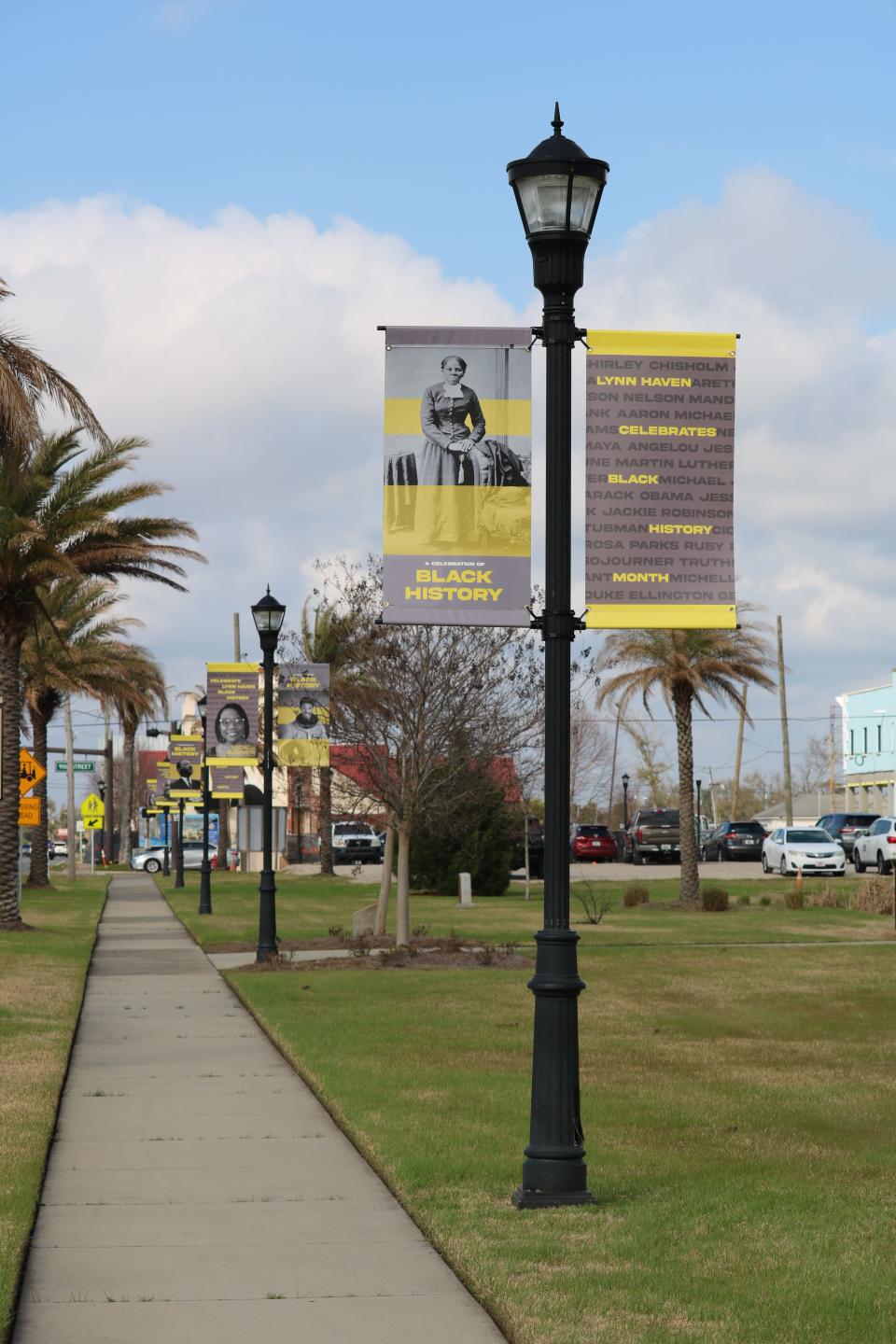 Banners are hung throughout Sharon Sheffield Park in Lynn Haven to highlight African American leaders in Bay County.