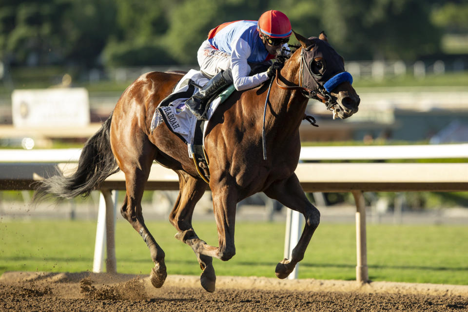 FILE - In a photo provided by Benoit Photo, Muth, ridden by jockey Juan Hernandez, wins the Grade I, $300,000 American Pharoah Stakes horse race Saturday, Oct. 7, 2023, at Santa Anita in Arcadia, Calif. Preakness favorite Muth has been ruled out of the second leg of the Triple Crown after spiking a fever. The Maryland Jockey Club announced Muth's status change Wednesday, May 15, 2024, roughly 12 hours after the horse arrived at Pimlico Race Course in Baltimore. (Benoit Photo via AP, File)