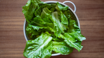<p> Pile up your salad with lettuce for a hydrating lunch. They have a 95 per cent water content, and you can benefit from many other essential nutrients at the same time. For instance, the leaves are rich in vitamin K, which has been shown by <a href="https://pubmed.ncbi.nlm.nih.gov/17906277/" rel="nofollow noopener" target="_blank" data-ylk="slk:research;elm:context_link;itc:0;sec:content-canvas" class="link ">research</a> to be key for bone health and warding off osteoporosis - something particularly important for women going through menopause, due to declining oestrogen levels. </p>