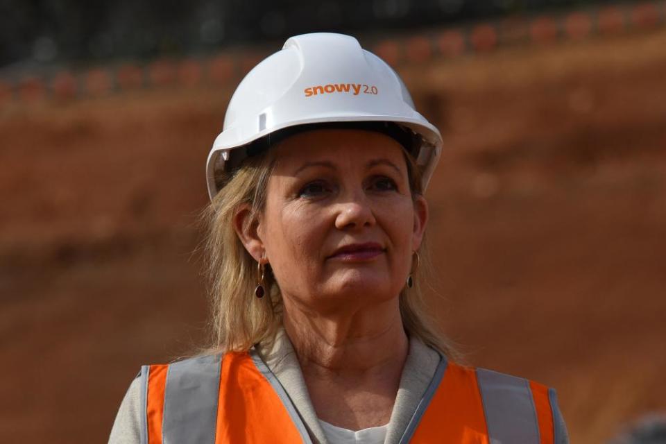 Minister for the environment Sussan Ley.