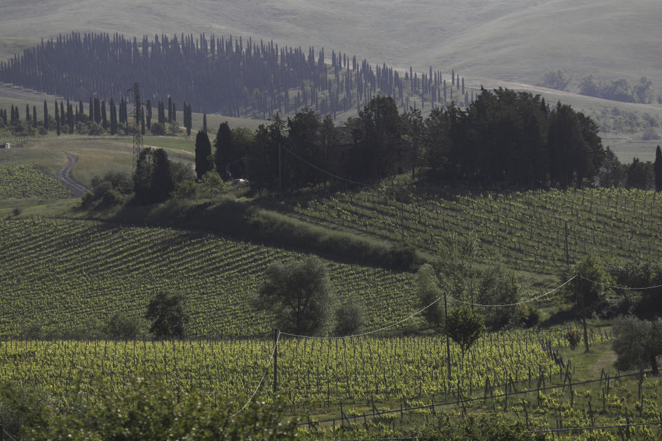 Vineyards are seen on the hills in Montalcino, Italy, Friday, May 28, 2021. It is a long way, and a risky one. But for this group of migrants at least it was worth the effort. They come from Ghana, Togo, Sierra Leone, Pakistan, Guinea Bissau, among other countries. They all crossed the Sahara desert, then from Libya the perilous Mediterranean Sea until they reached Italian shores, now they find hope working in the vineyards of Tuscany to make the renown Brunello wine. (AP Photo/Gregorio Borgia)