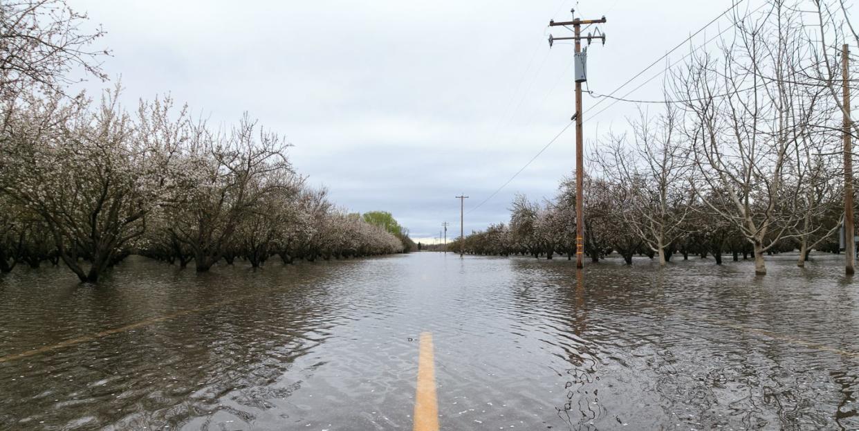 a flooded road near chico, california