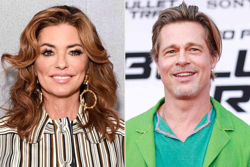 <p>Kate Green/Getty; MICHAEL TRAN/AFP via Getty</p> Shania Twain and Brad Pitt