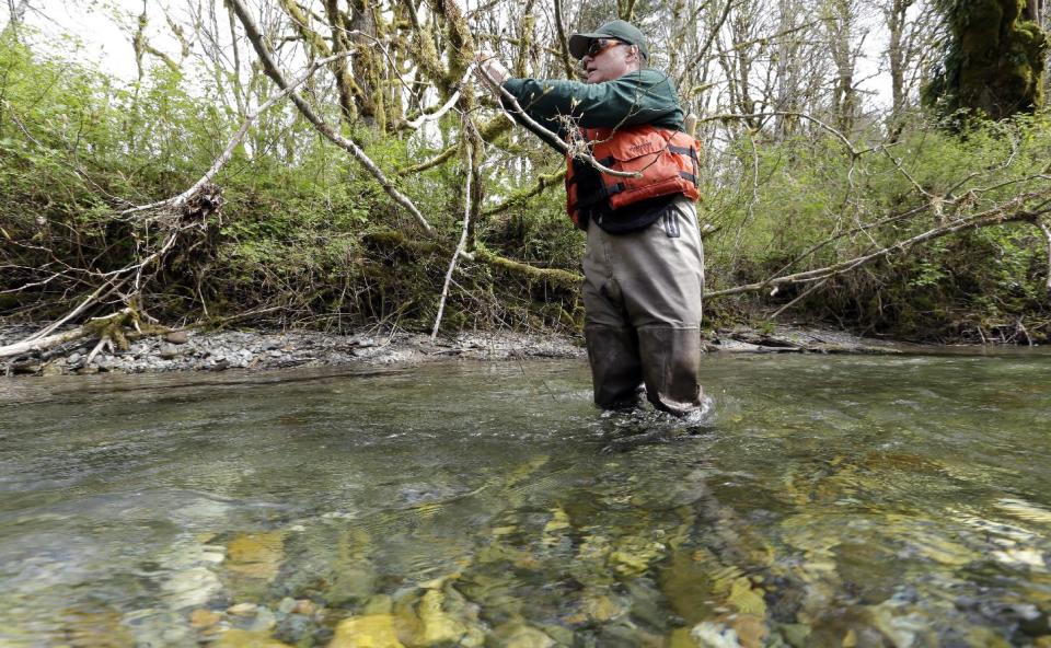 In this photo taken Tuesday, April 15, 2014, fisheries biologist Pete Verhey tags an overhanging branch after finding a salmon spawning nest in Squire Creek, a tributary of the North Fork of the Stillaguamish River, near Darrington, Wash. Finding the nest, called a redd, is an encouraging sign that steelhead trout may be making their way upstream from Oso., Wash., above where a massive landslide decimated a riverside neighborhood a month ago and pushed several football fields worth of sediment down the hillside and across the river. As search crews continue to look for people missing in the slide, scientists also are closely monitoring how the slide is affecting federally endangered fish runs, including Chinook salmon and steelhead. (AP Photo/Elaine Thompson)