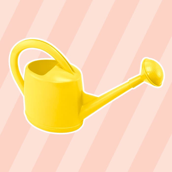 <a href="https://www.amazon.com/Dramm-12435-Watering-Injection-Plastic/dp/B00AWKZETK/?tag=tohmke-20" rel="nofollow noopener" target="_blank" data-ylk="slk:Large Watering Can;elm:context_link;itc:0;sec:content-canvas" class="link rapid-noclick-resp">Large Watering Can</a>