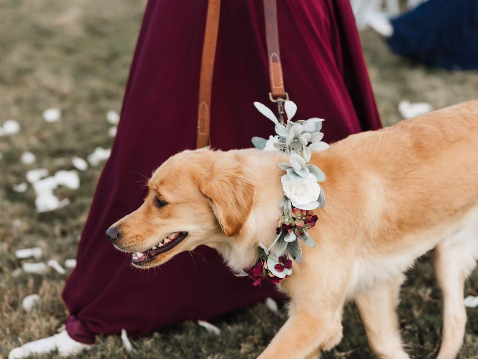 dog wedding party