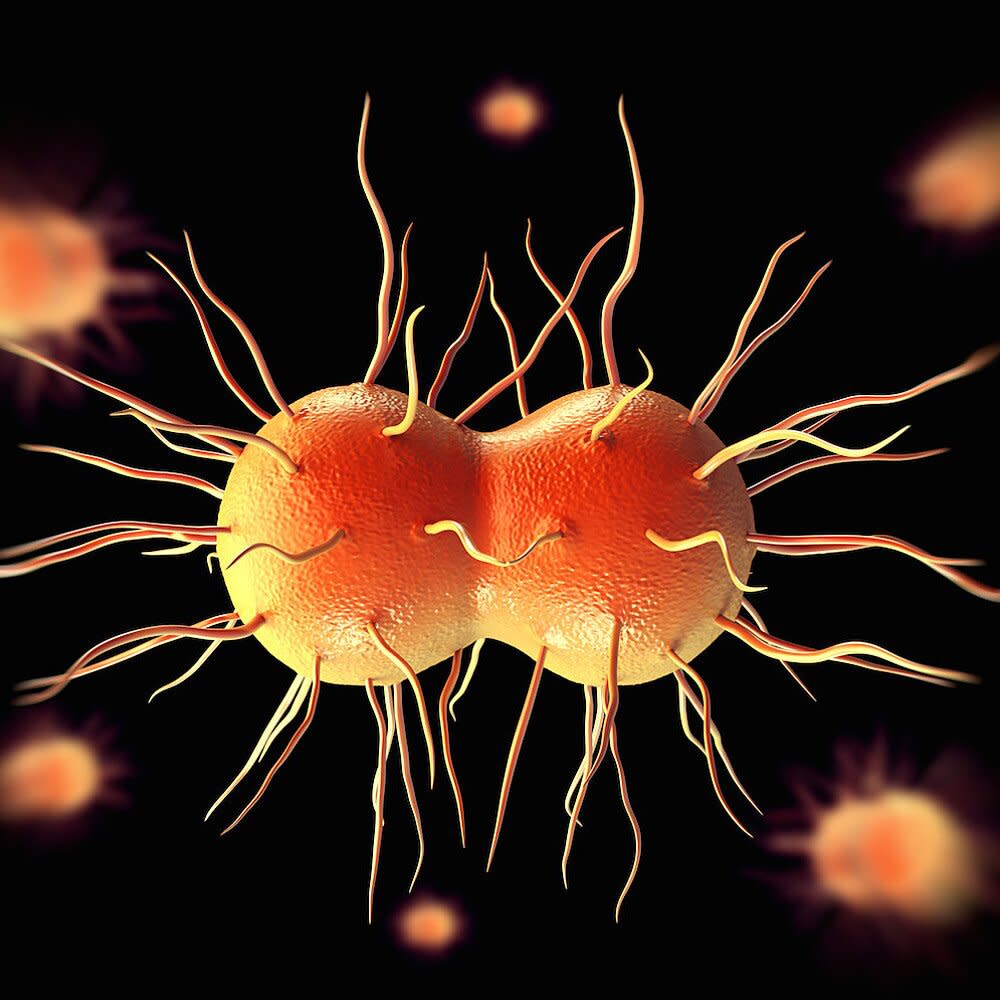 gonorrhea-bacteria.jpg