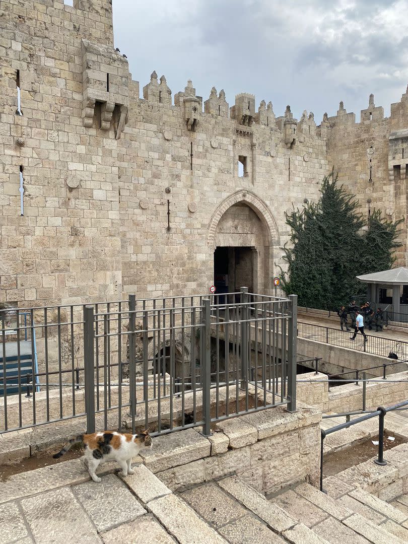 La puerta de Damasco de la Ciudad Vieja de Jerusalén, normalmente bulliciosa, vacía