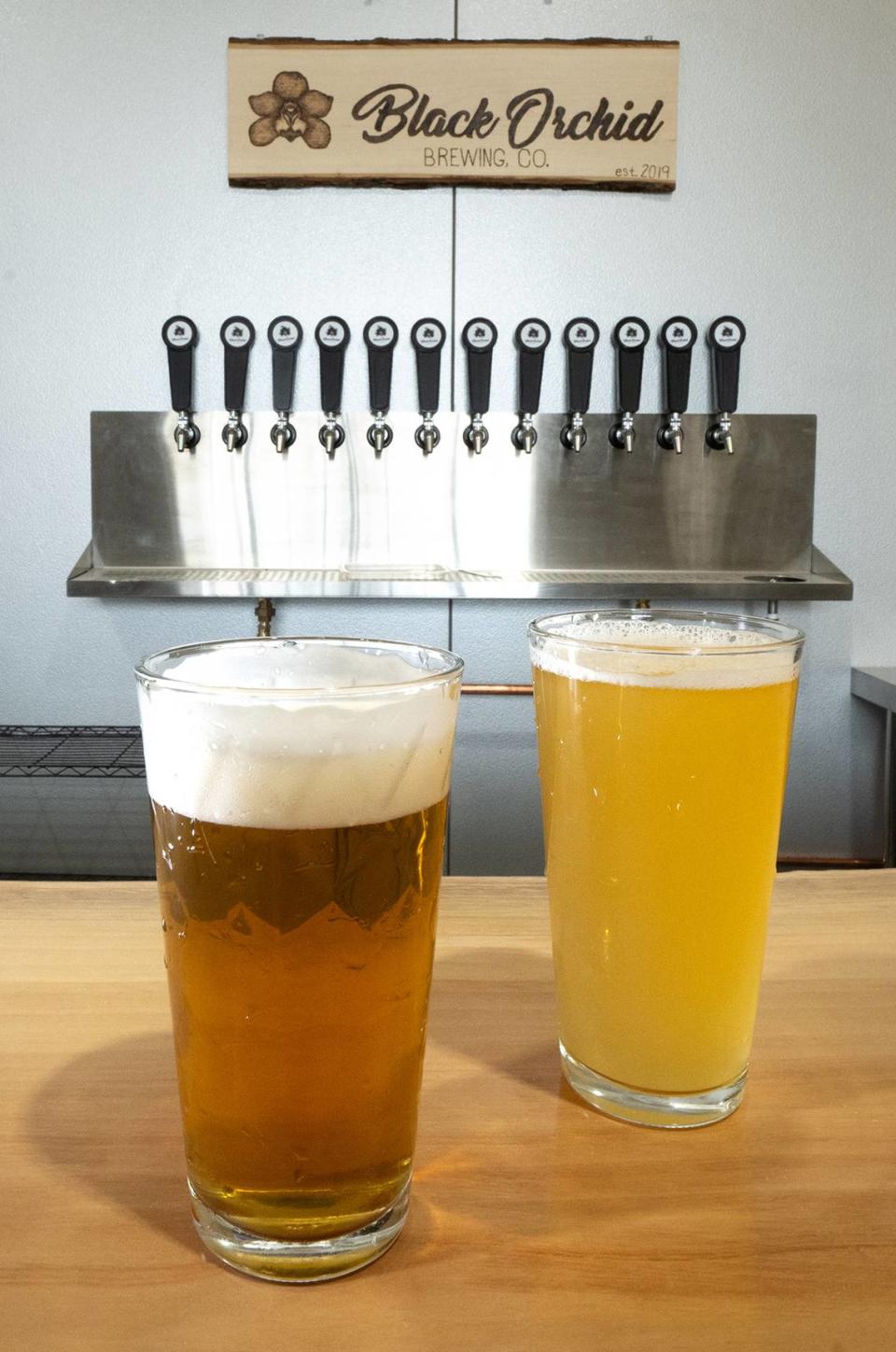 Two test beers at Black Orchid Brewing in Modesto, Calif., Friday, Jan. 12, 2024.