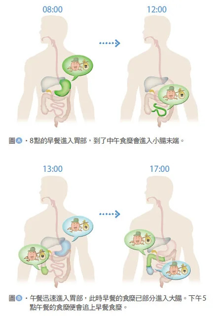 &#x0098df;&#x007269;&#x00751f;&#x00547d;&#x0065c5;&#x007a0b;&#x00ff0c;&#x006253;&#x009020;&#x004eba;&#x009ad4;&#x005169;&#x006b21;&#x006392;&#x006bd2;