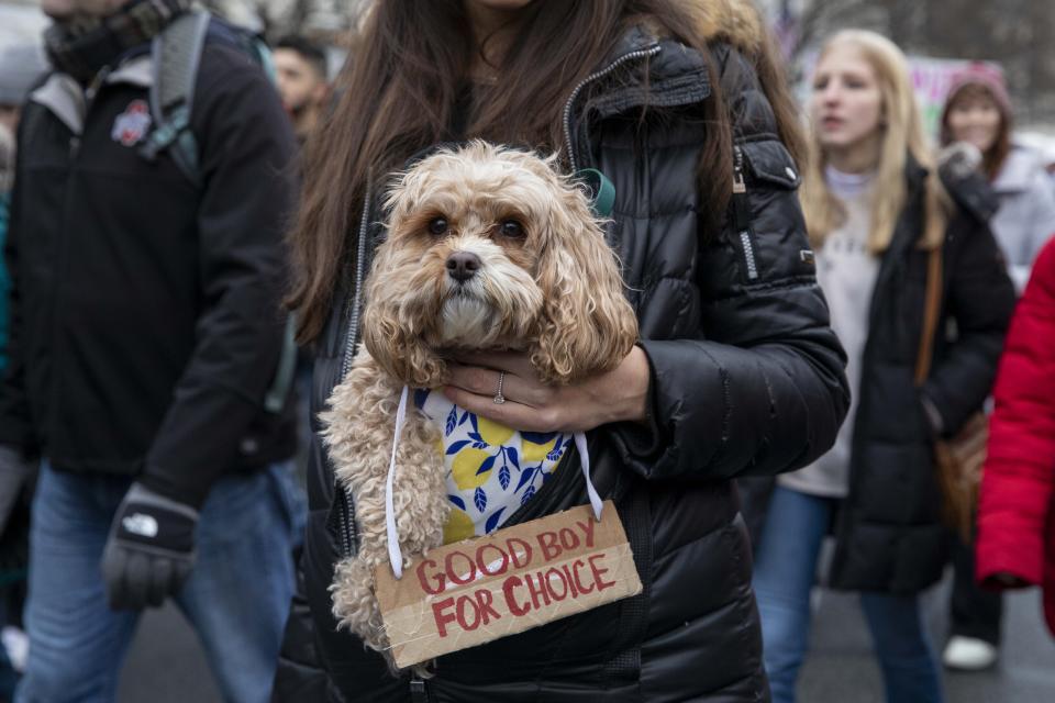 Helena Coric's dog Luka wears an abortion rights sign during the Women's March, which largely focused on abortion rights, in Washington, Sunday, Jan. 22, 2023. (AP Photo/Amanda Andrade-Rhoades)