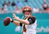 NFL: Cincinnati Bengals at Miami Dolphins