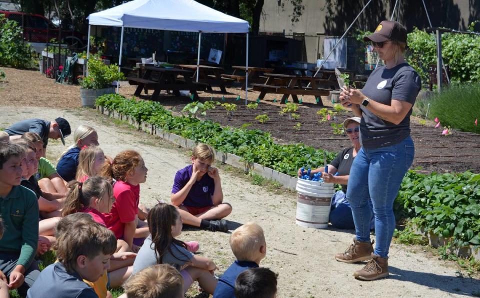 Val Ishmael, a la derecha, muestra a los niños cómo plantar plántulas de sandía en Garden Joy en Ripon, California, el 15 de mayo de 2024.