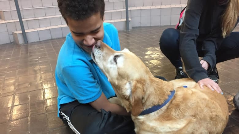 Service dogs bring joy to the classroom at south Edmonton high school