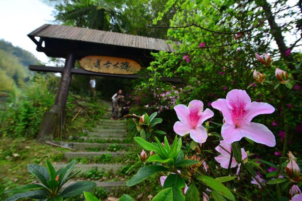 瑞太古道（圖片來源：嘉義縣政府）