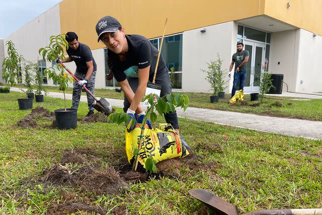 <p>ServiceNow</p> ServiceNow team members participate in a One Tree Planted event.