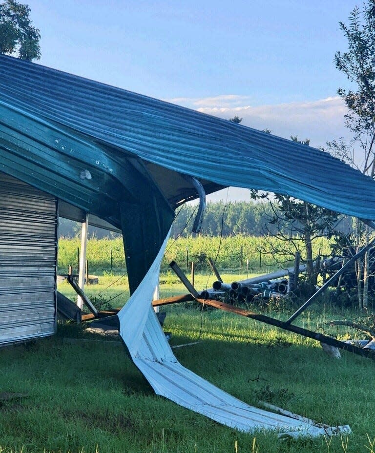 Hurricane Idalia caused severe damage to farms across Suwannee County, including hay barns on the property of longtime farmers Sammy and Tammy Starling of Dowling Park.