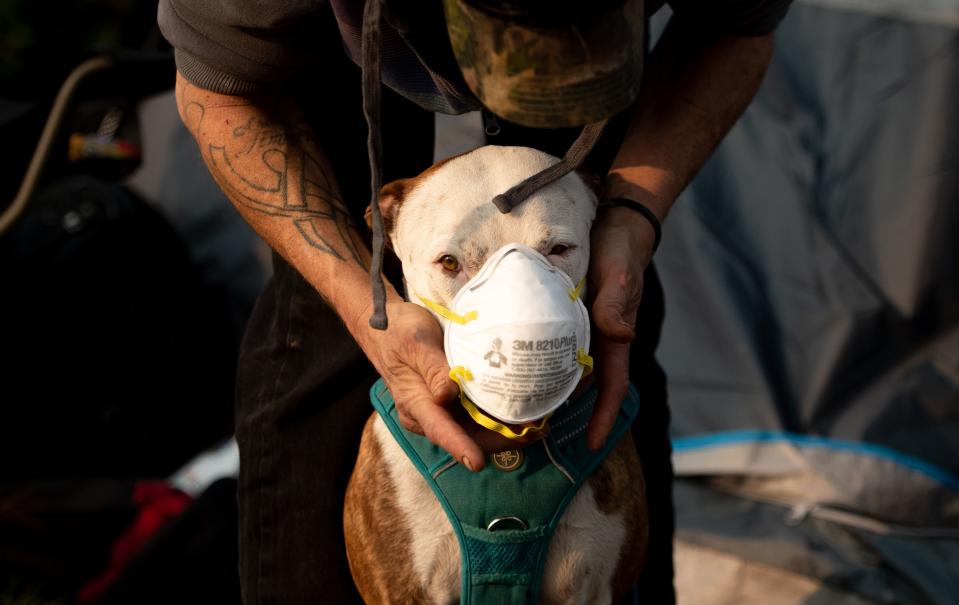 <p>Jason House attempts to put a respirator mask on his dog Rowland at an evacuee encampment in a Walmart parking lot in Chico, Calif., on Nov. 17, 2018. (Photo: Josh Edelson/AFP/Getty Images) </p>