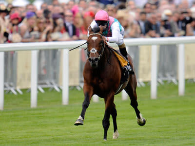 <p>Frankel is unbeaten in eleven races and is officially rated as the best racehorse in the world. Frankel is currently rated the best racehorse in the world according to Timeform.</p>