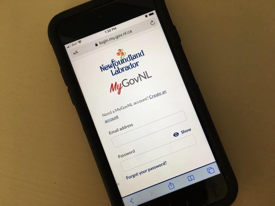 The government's online service portal, MyGovNL, was launched in 2019 and has seen a surge in users since the pandemic began.