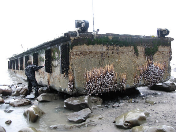 The Japanese dock sits in the surf on a remote beach in Olympic National Park.