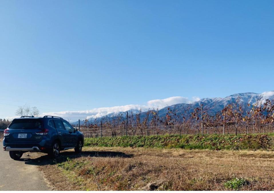 一行人為找尋葡萄酒來到富士山腳下的日本葡萄酒鄉。（翻攝自TBS電視台官網）