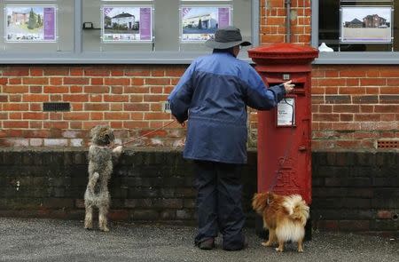 A dog walker posts a letter in a Royal Mail post box in Maybury near Woking in southern England March 25, 2014. REUTERS/Luke MacGregor