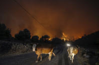 A man walks away with his animals from an advancing fire that rages Cokertme village, near Bodrum, Turkey, Monday, Aug. 2, 2021. For the sixth straight day, Turkish firefighters battled Monday to control the blazes that are tearing through forests near Turkey's beach destinations. Fed by strong winds and scorching temperatures, the fires that began Wednesday have left eight people dead. Residents and tourists have fled vacation resorts in flotillas of small boats or convoys of cars and trucks.(AP Photo/Emre Tazegul)