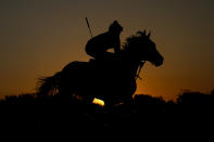 Black-Eyed Susan entrant Merlazza gallops during a workout ahead of the 148th running of the Preakness Stakes horse race at Pimlico Race Course, Thursday, May 18, 2023, in Baltimore. The Black-Eyed Susan Stakes horse race is slated to run on Friday. (AP Photo/Julio Cortez)