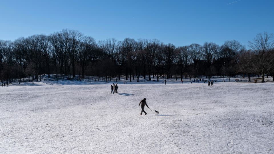 People walk through the snow in Brooklyn's Prospect Park on a cold winter afternoon on January 21, 2024 in New York City. - Spencer Platt/Getty Images