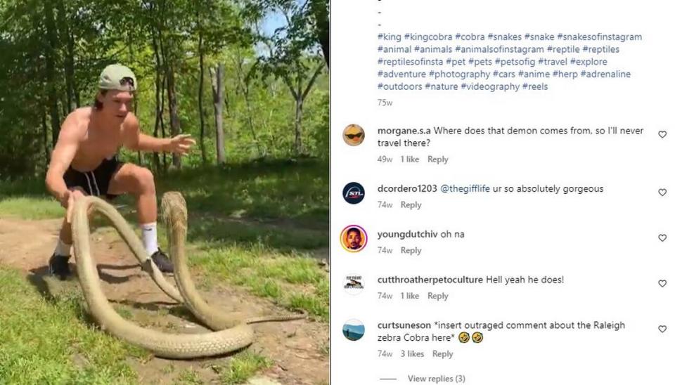 Chris Gifford actively displays venomous snakes in his Instagram and TikTok videos two years after pleading guilty to a misdemeanor charge after his zebra cobra escaped in Raleigh.