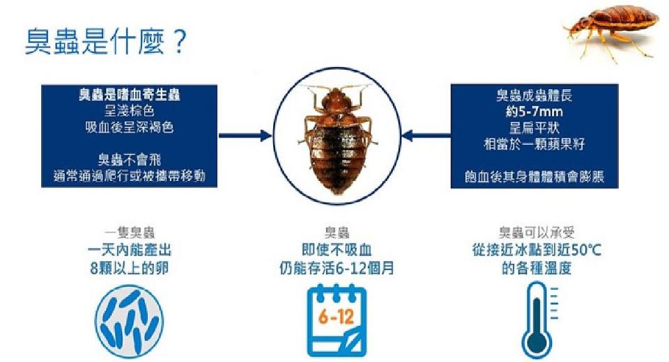 臭蟲入侵後，90%以上躲藏在床的附近活動。（圖：ECOLAB藝康公司提供）