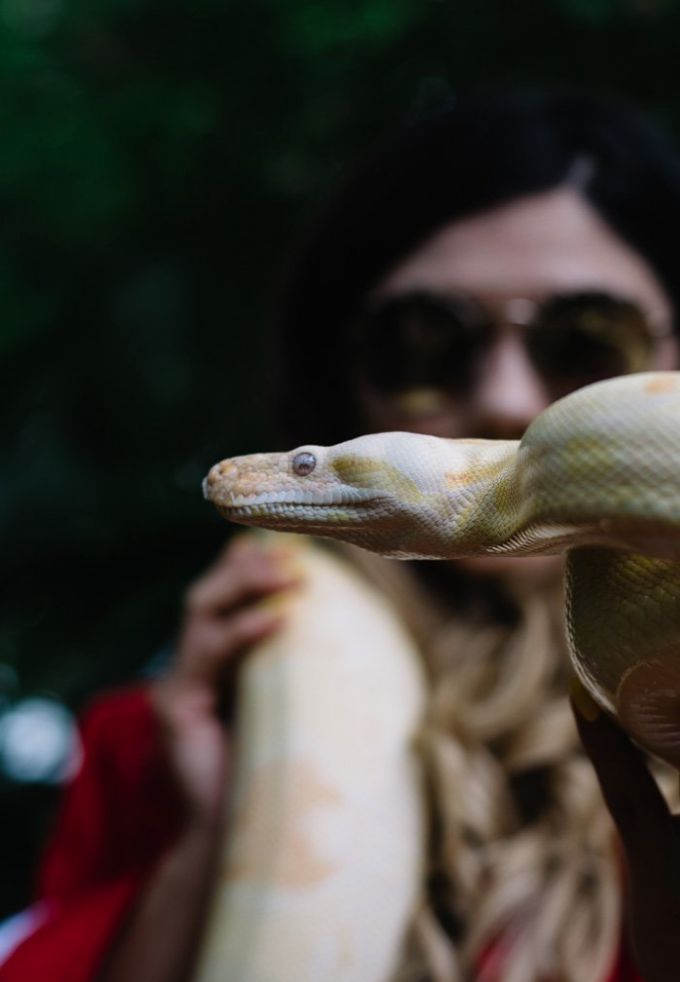 Snake closeup. (Photo: Alondra Acosta)