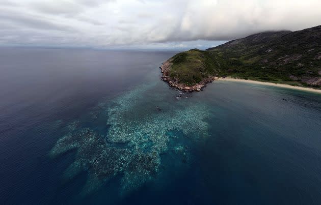 White, bleached corals can be seen in this aerial photo.