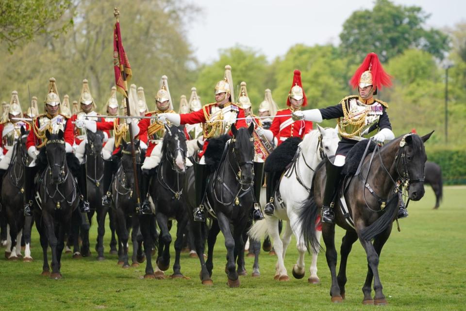 Household Cavalry takes part in annual inspection (Jonathan Brady/PA Wire)