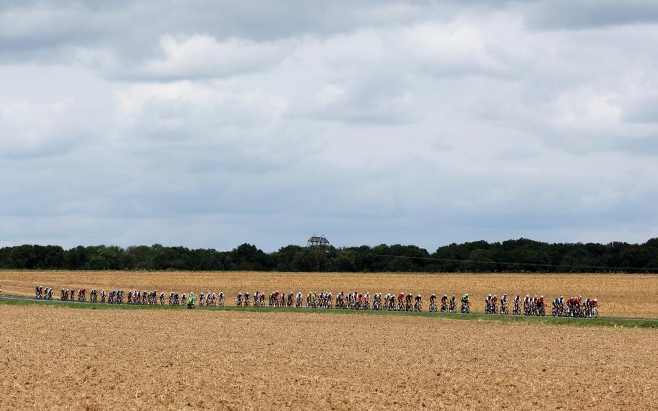 The Olympic road race peloton heads through the Chevreuse valley's fields.