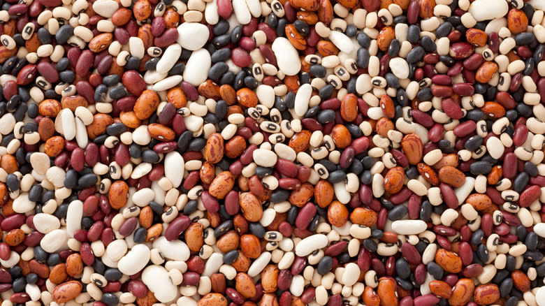 many different types of beans