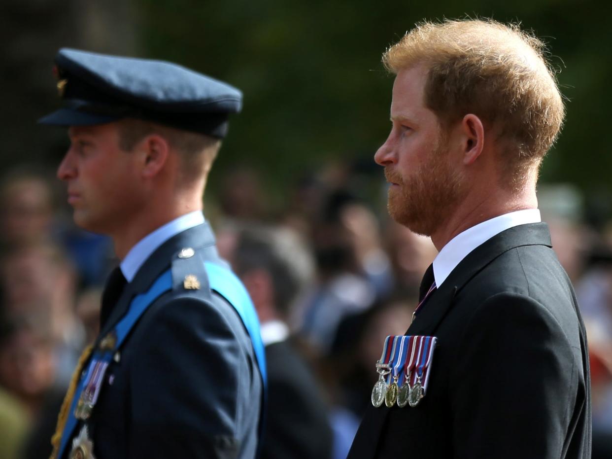 Prince Harry and Prince William walked side by side during the procession.