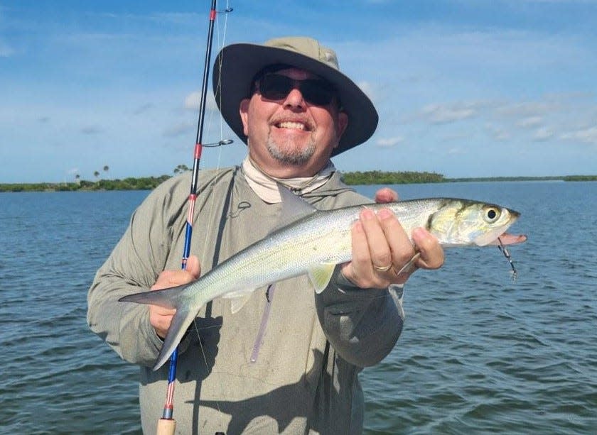 Capt. Bart Rutan says the ladyfish are providing a  lot of fun hookups in the flats off the intracoastal.