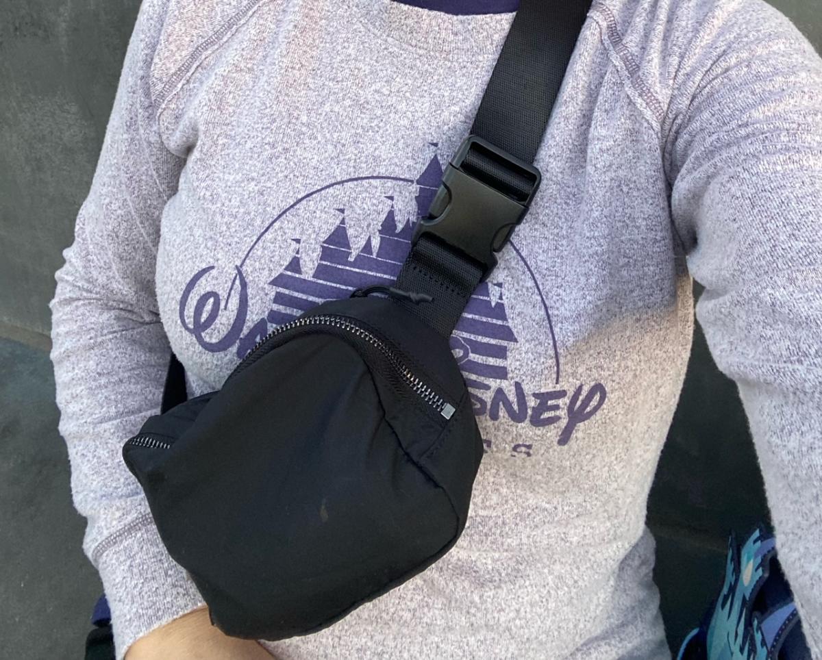 I wore this  belt bag at Disney World and it made my visit so much easier