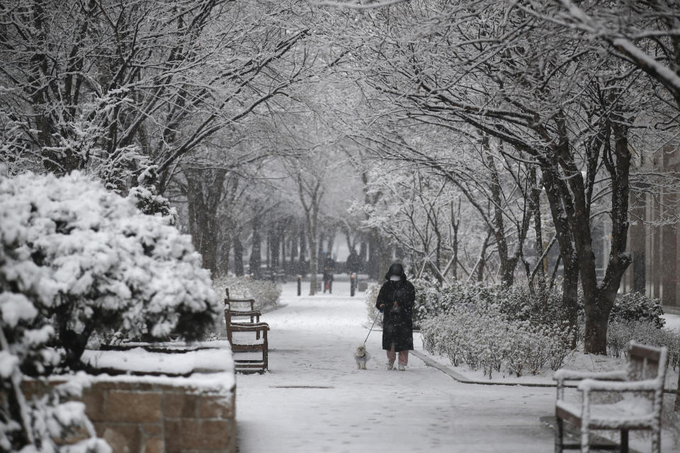 A resident wearing a face mask as a precaution against the coronavirus walks a dog through snow in Goyang, South Korea, Sunday, Dec. 13, 2020. (AP Photo/Lee Jin-man)